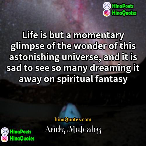 Andy Mulcahy Quotes | Life is but a momentary glimpse of